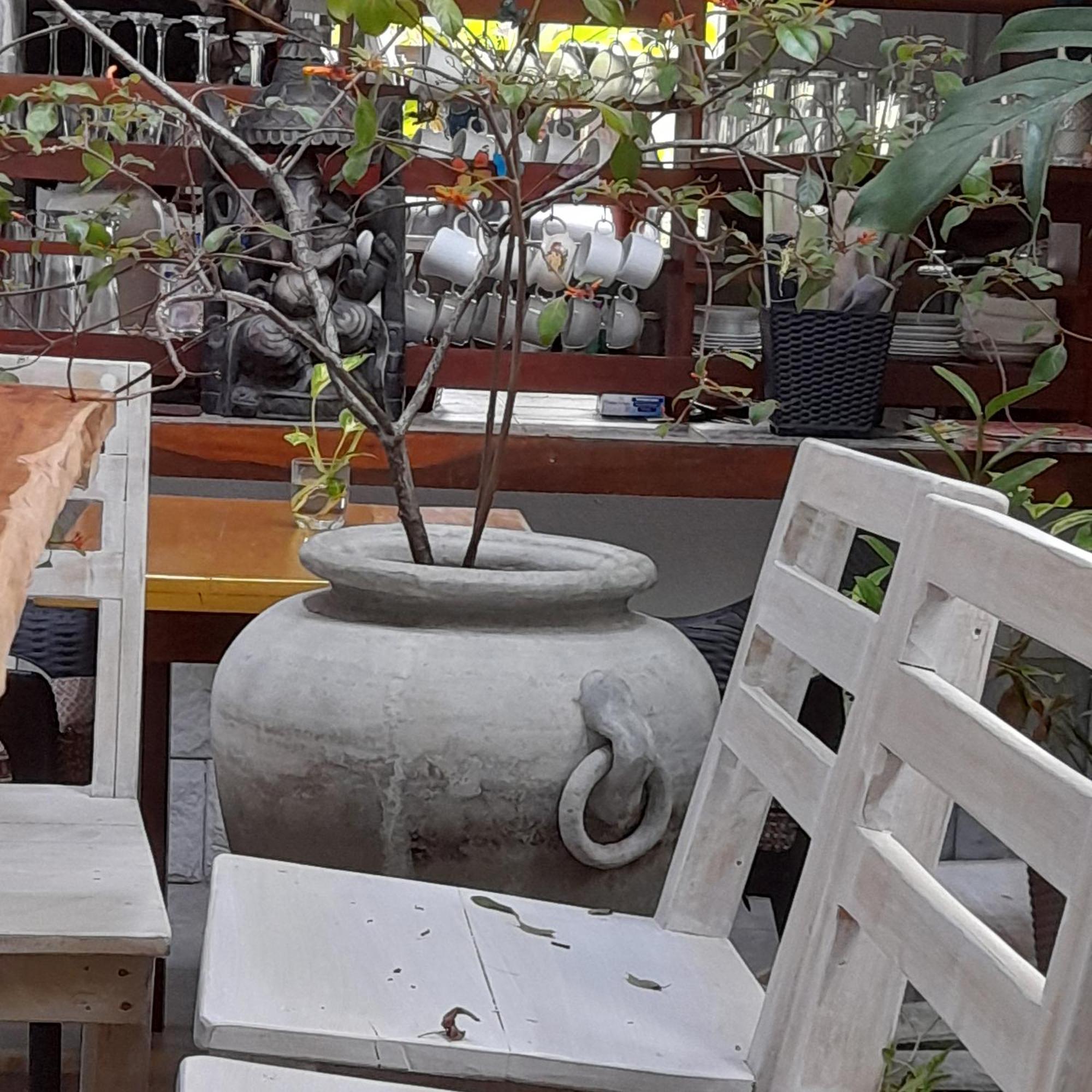 Shoba Traveller'S Tree Homes Stay Гале Екстериор снимка