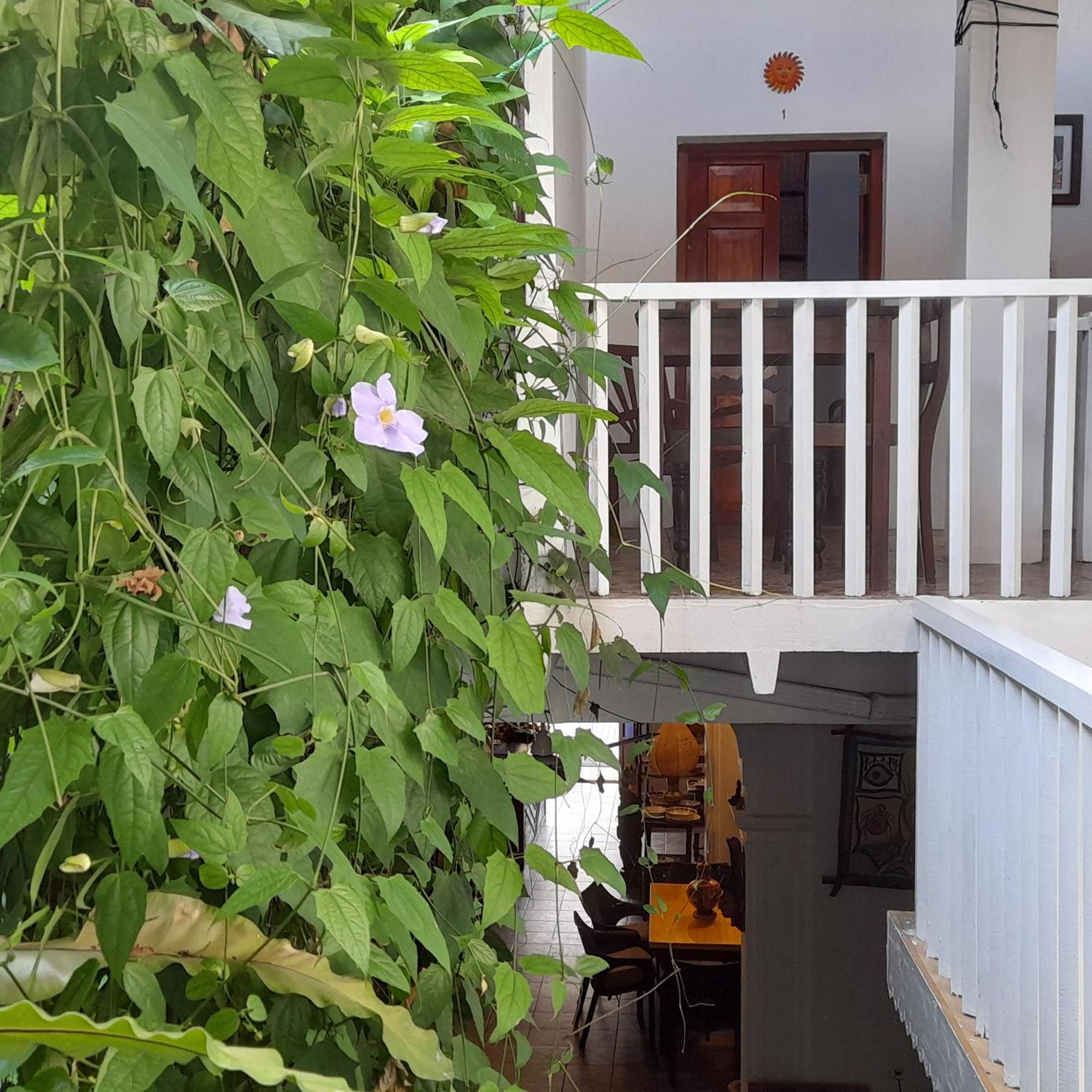 Shoba Traveller'S Tree Homes Stay Гале Екстериор снимка